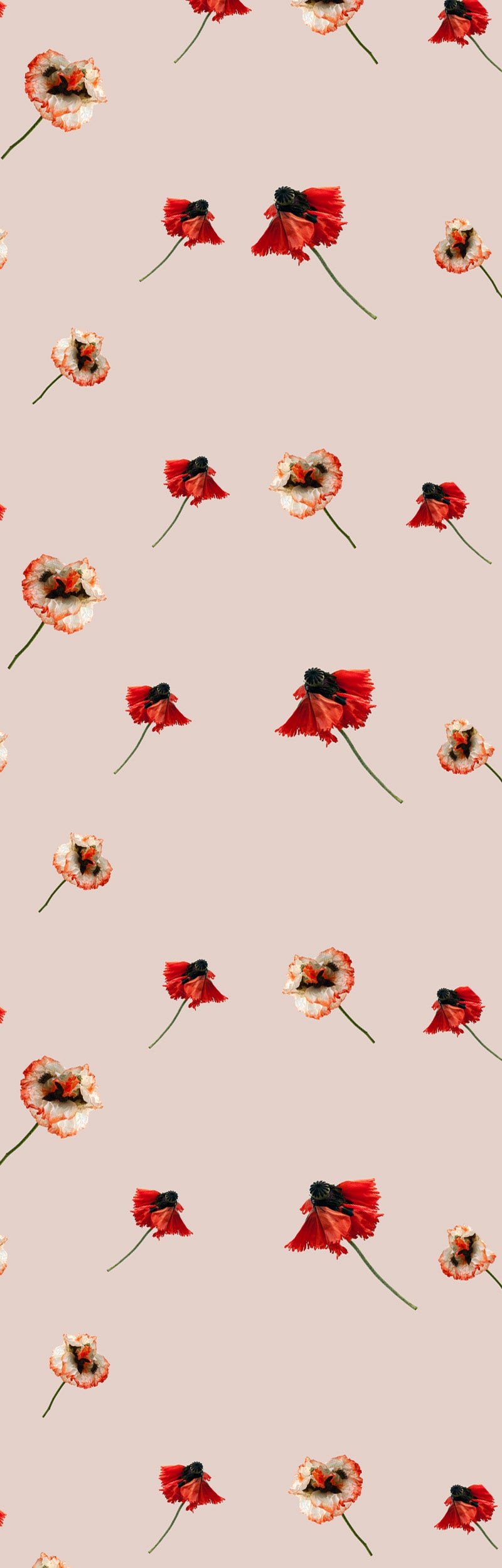 Load image into Gallery viewer, Rachel Levy Deconstructed Poppies Crepe De Chine