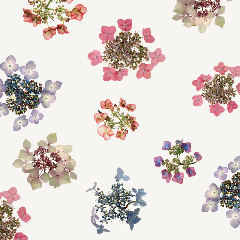 Load image into Gallery viewer, Rachel Levy Hydrangea Crepe De Chine