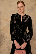 Load image into Gallery viewer, Lily Printed Black Velvet Tea Dress