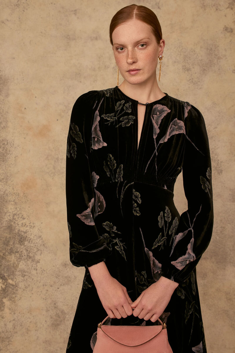 Load image into Gallery viewer, Lily Printed Black Velvet Tea Dress