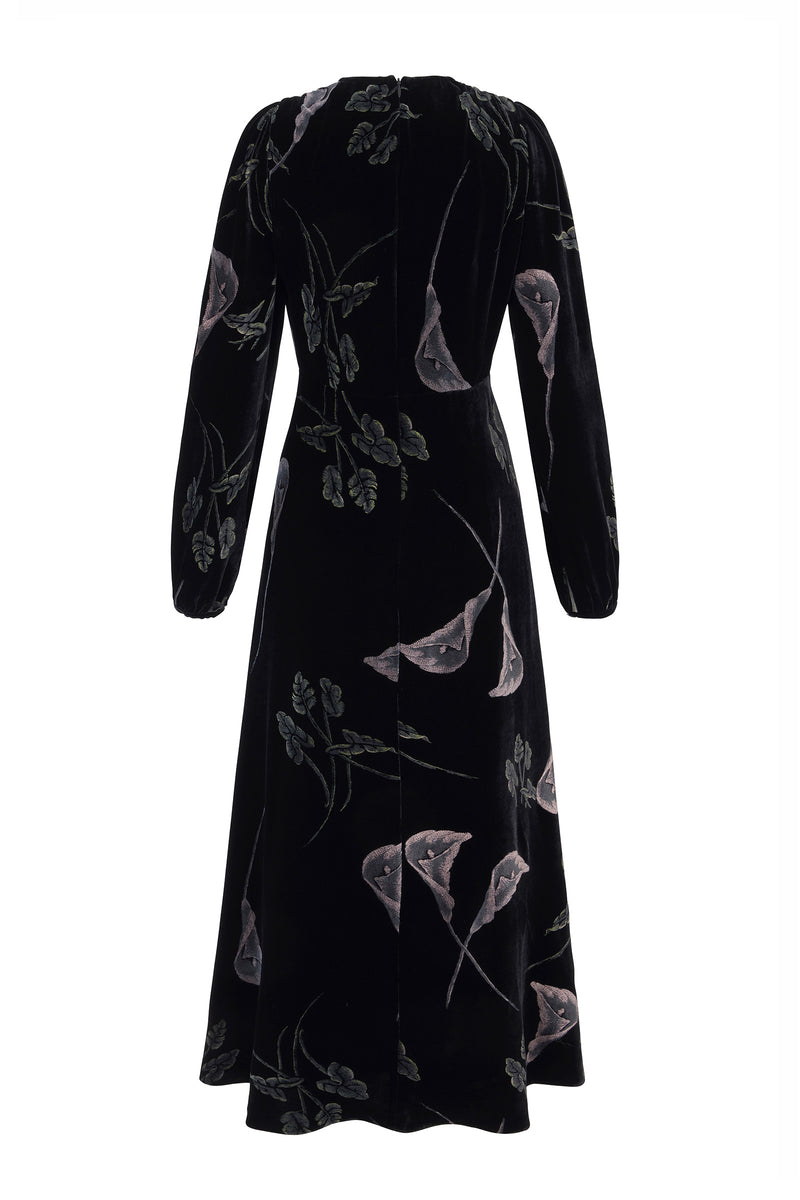Load image into Gallery viewer, Lily Printed Black Velvet Tea Dress