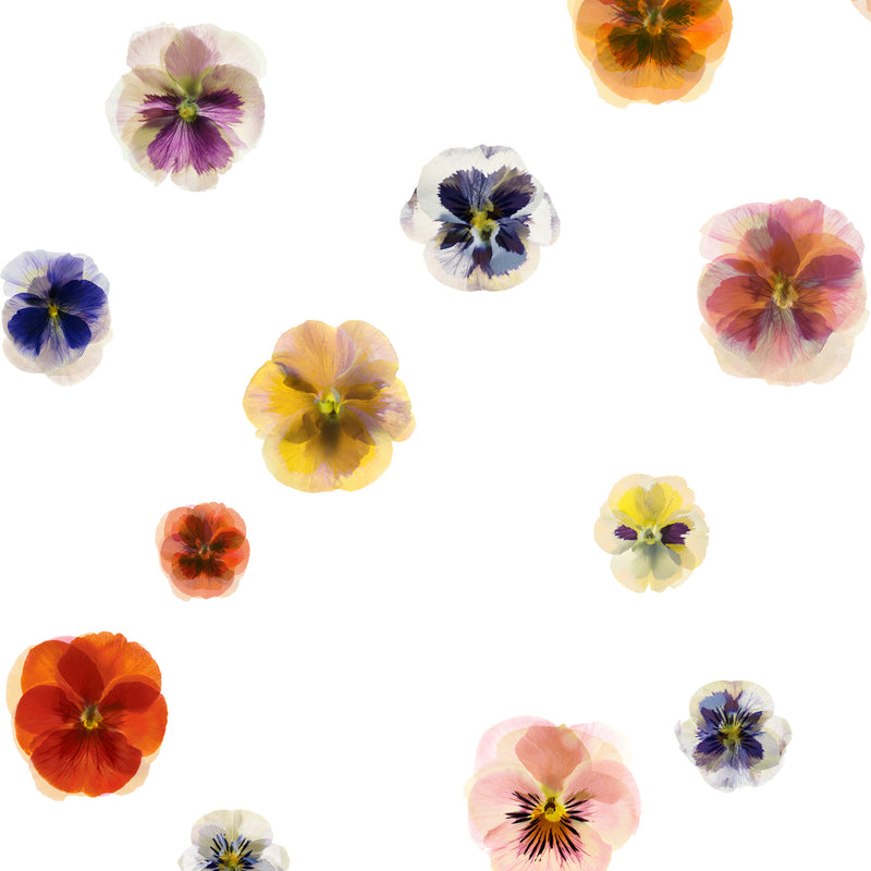 Load image into Gallery viewer, Rachel Levy Pansy Polka Dot Crepe De Chine