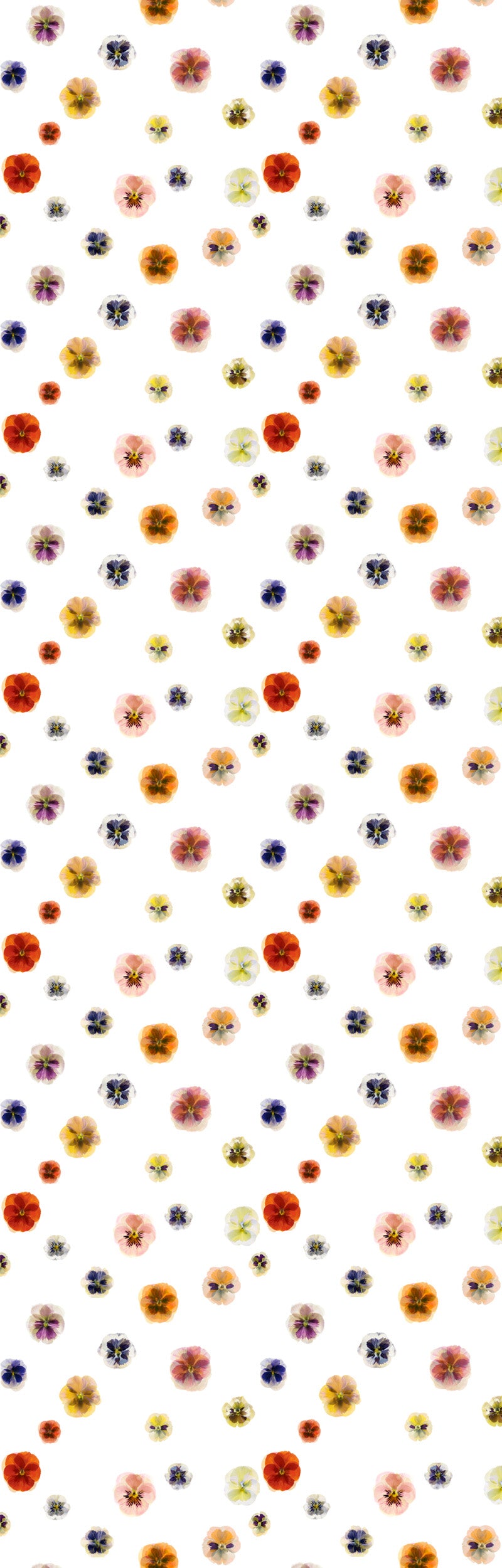 Load image into Gallery viewer, Rachel Levy Pansy Polka Dot Crepe De Chine