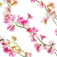 Load image into Gallery viewer, Sweet Peas Crepe De Chine