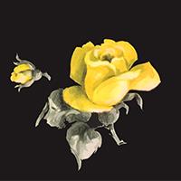 Load image into Gallery viewer, Black Antique Rose Crepe De Chine