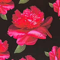 Load image into Gallery viewer, Suzannah x Kate Scott Frillseeker Floral Silk Twill