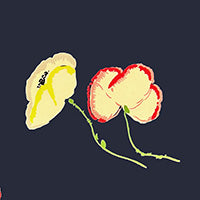 Load image into Gallery viewer, Navy Vintage Poppy Silk Twill