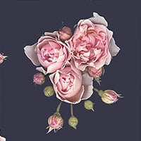 Load image into Gallery viewer, Suzannah x Kate Scott Peaches Rose Silk Twill
