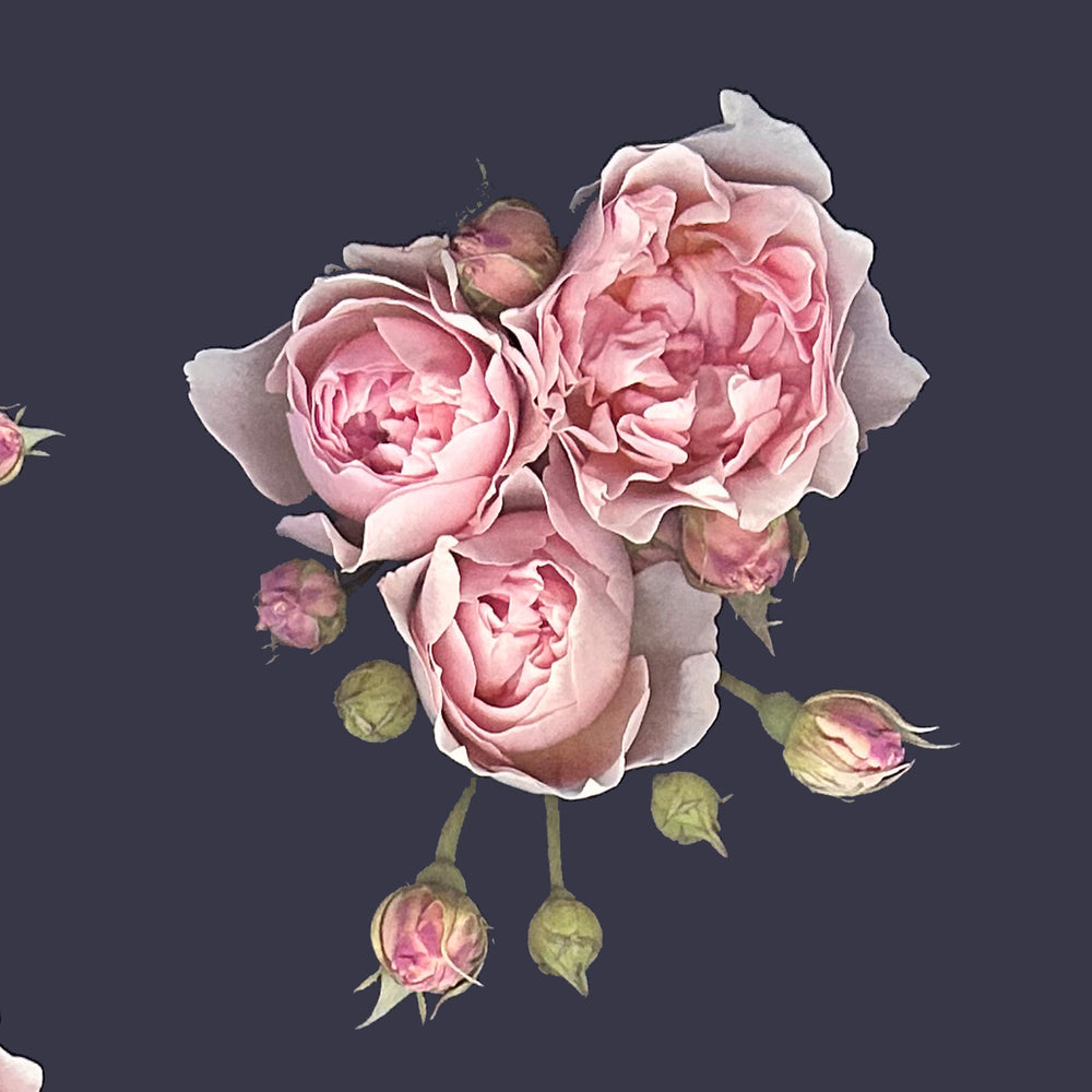 Load image into Gallery viewer, Suzannah x Kate Scott Peaches Rose Silk Twill