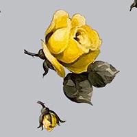 Load image into Gallery viewer, Powder Blue Summer Rose Crepe De Chine