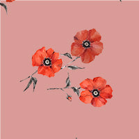 Load image into Gallery viewer, Tea Rose Poppy Crepe De Chine